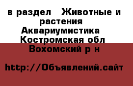  в раздел : Животные и растения » Аквариумистика . Костромская обл.,Вохомский р-н